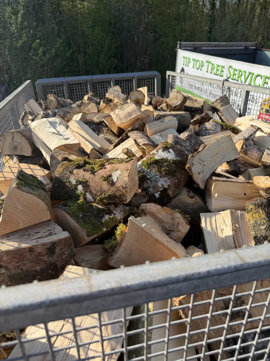 Trailer loads of ash timber - Image 2