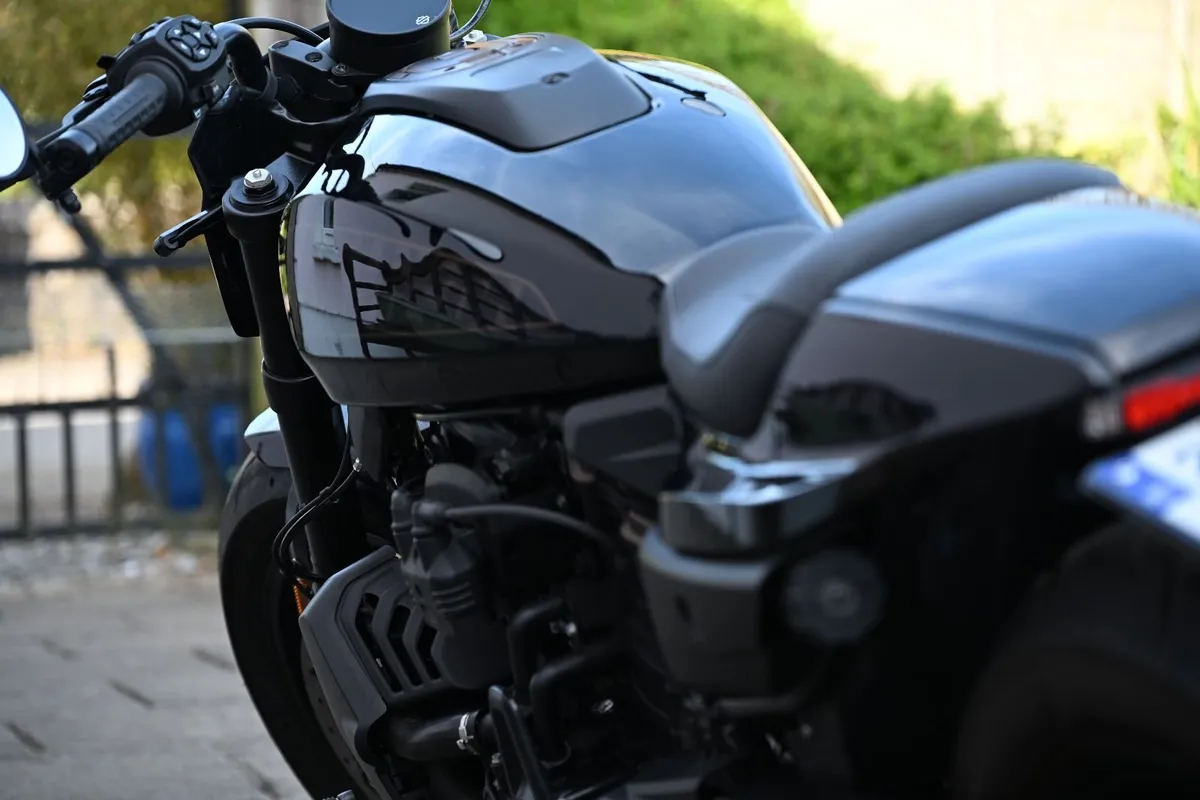 HARLEY DAVIDSON SPORTSTER 2021 - Image 2