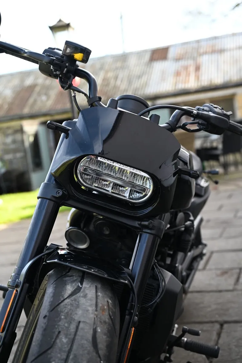HARLEY DAVIDSON SPORTSTER 2021 - Image 3