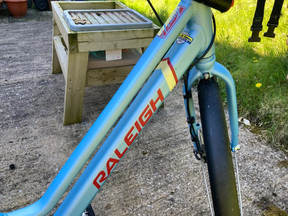 Raleigh Array electric hybrid bicycle - no battery - Image 3