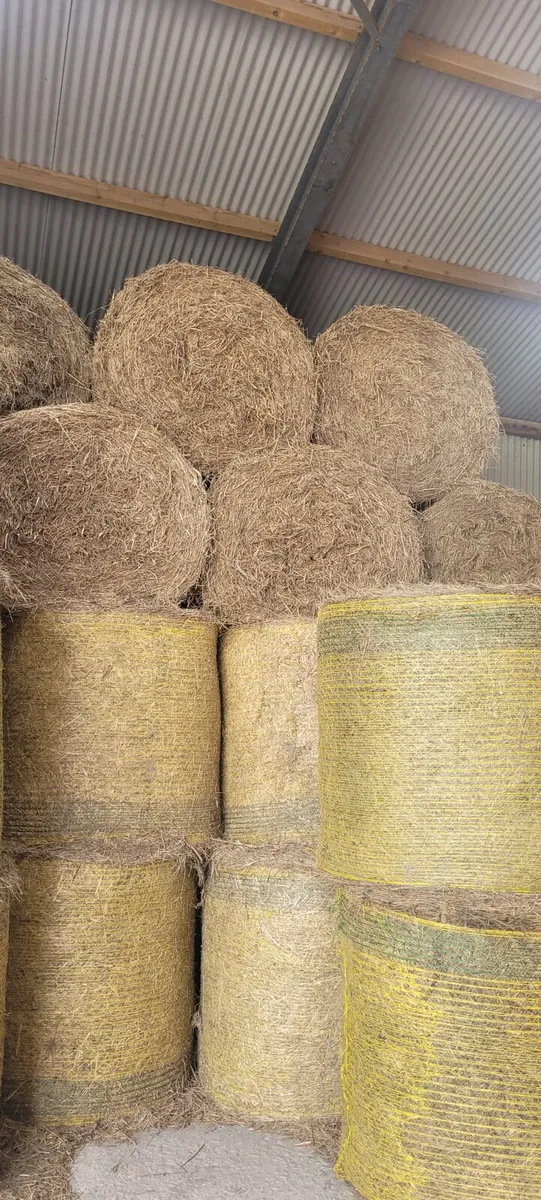 2025 round bales hay - Image 1