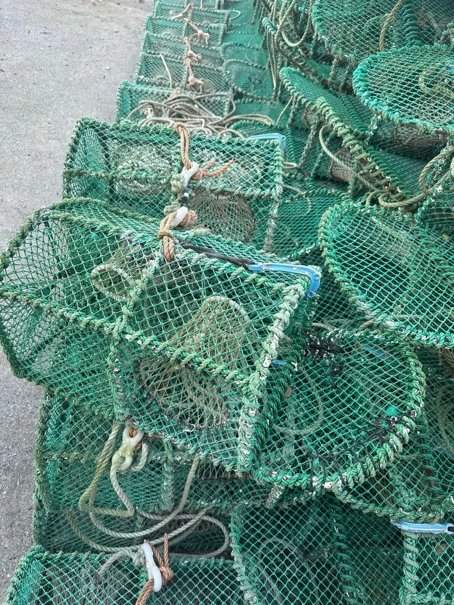 Prawn/velvet pots - Image 1