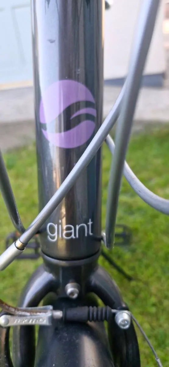 Giant Liv Ladies Hybrid Bike - Image 2