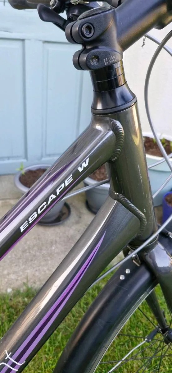 Giant Liv Ladies Hybrid Bike - Image 3