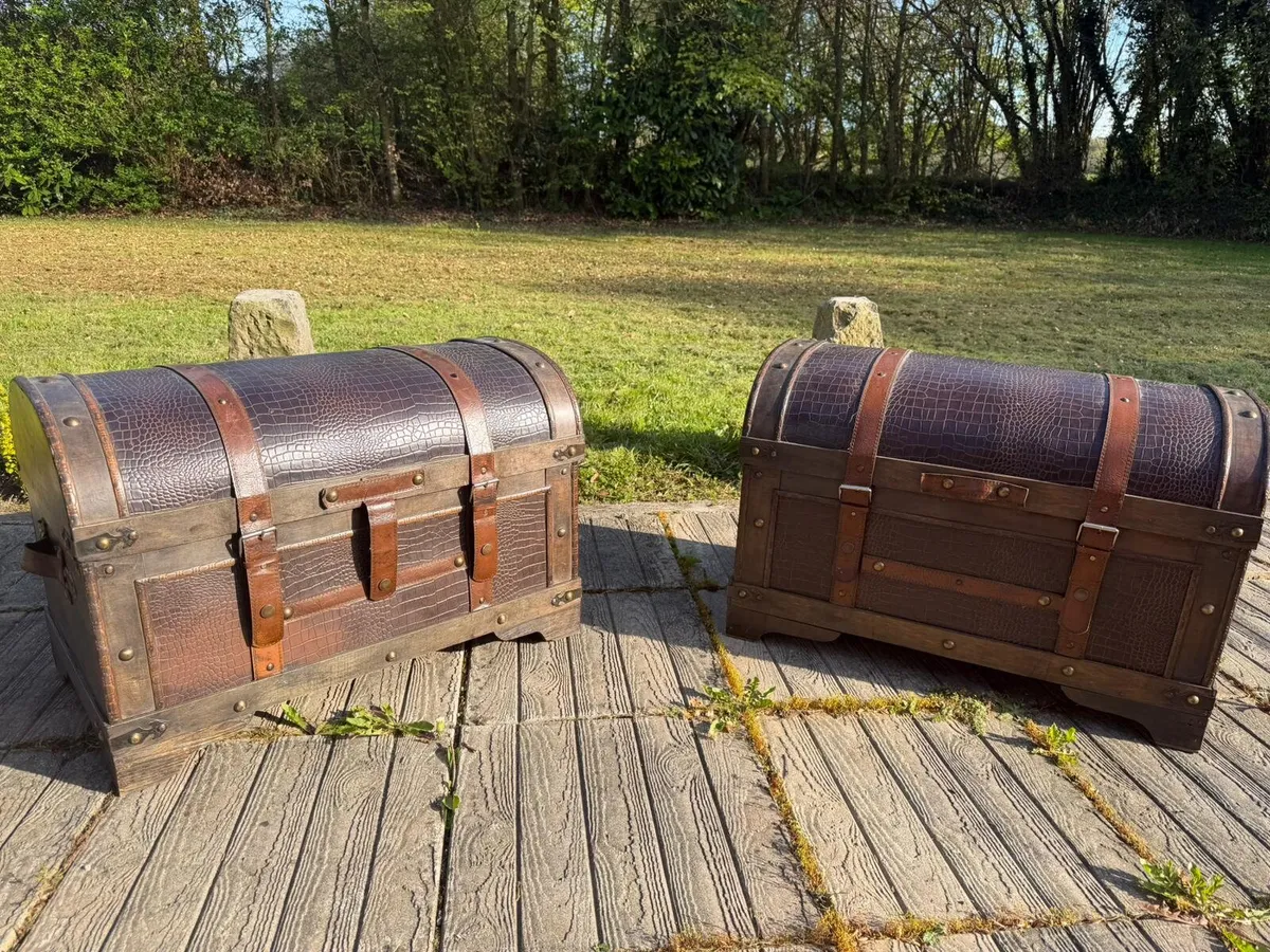 Vintage Storage Chest /Trunks - Image 1