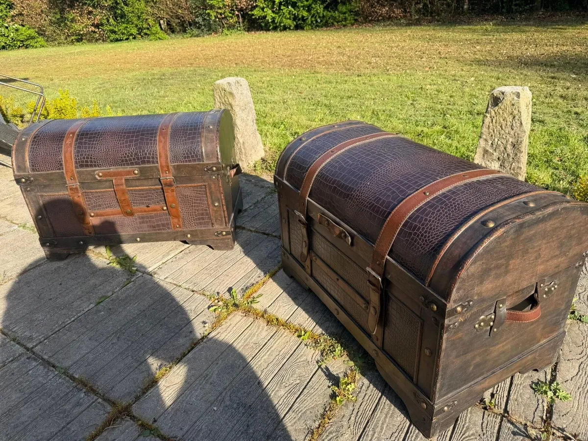 Vintage Storage Chest /Trunks - Image 3