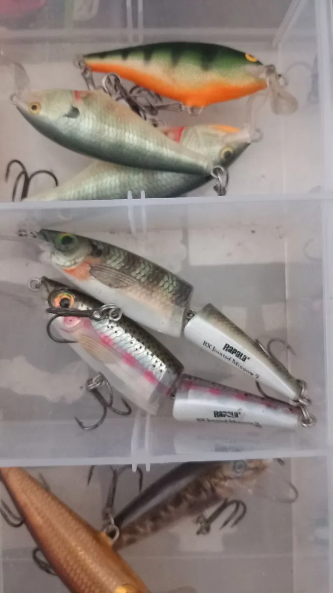 Rapala fishing lures - Image 3