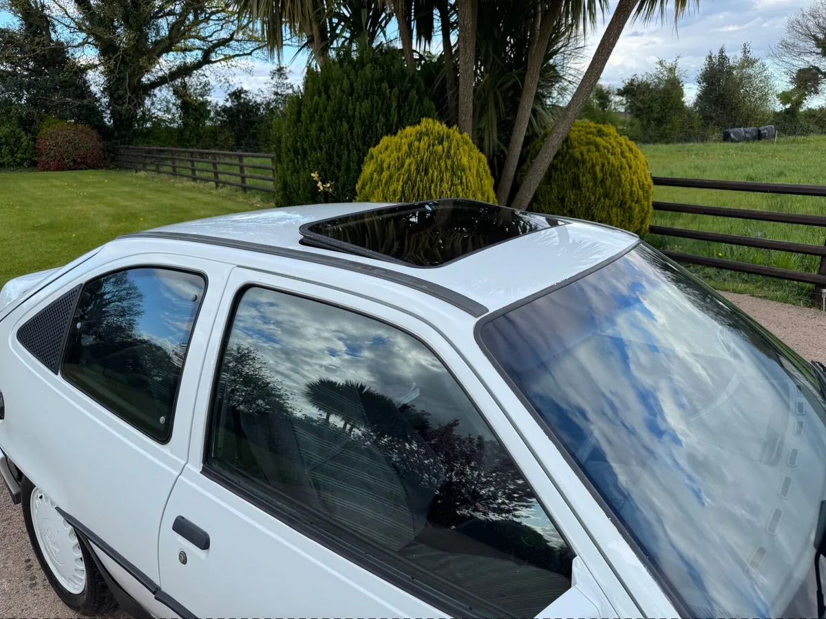 Vauxhall Astra GTE 2.0l 16valve - Image 3