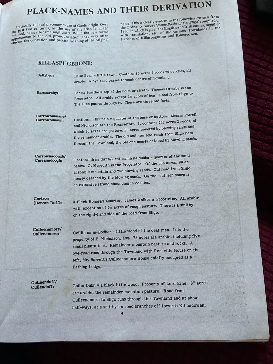 At The Foot Of Knocknarea - J McTernan - Image 4