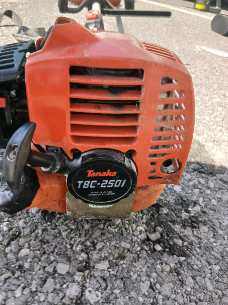 TANAKA STRIMMERS - Image 3