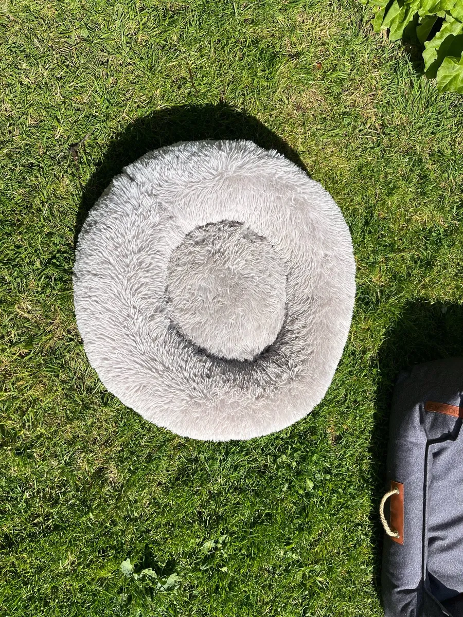 Dog beds - Image 3