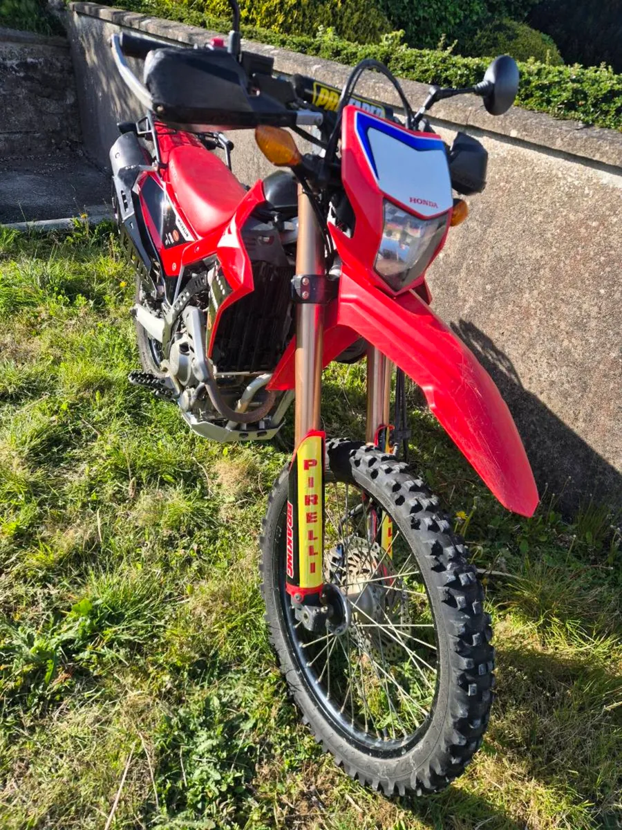 Honda CRF300L 2021 - Image 4