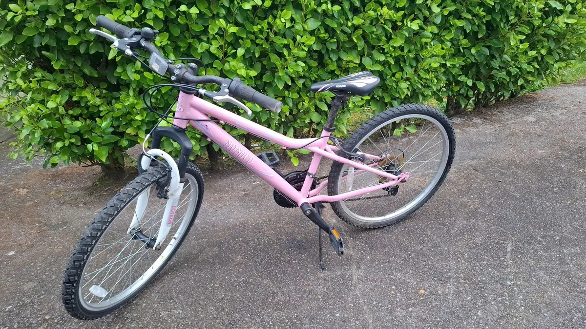 Girls bike