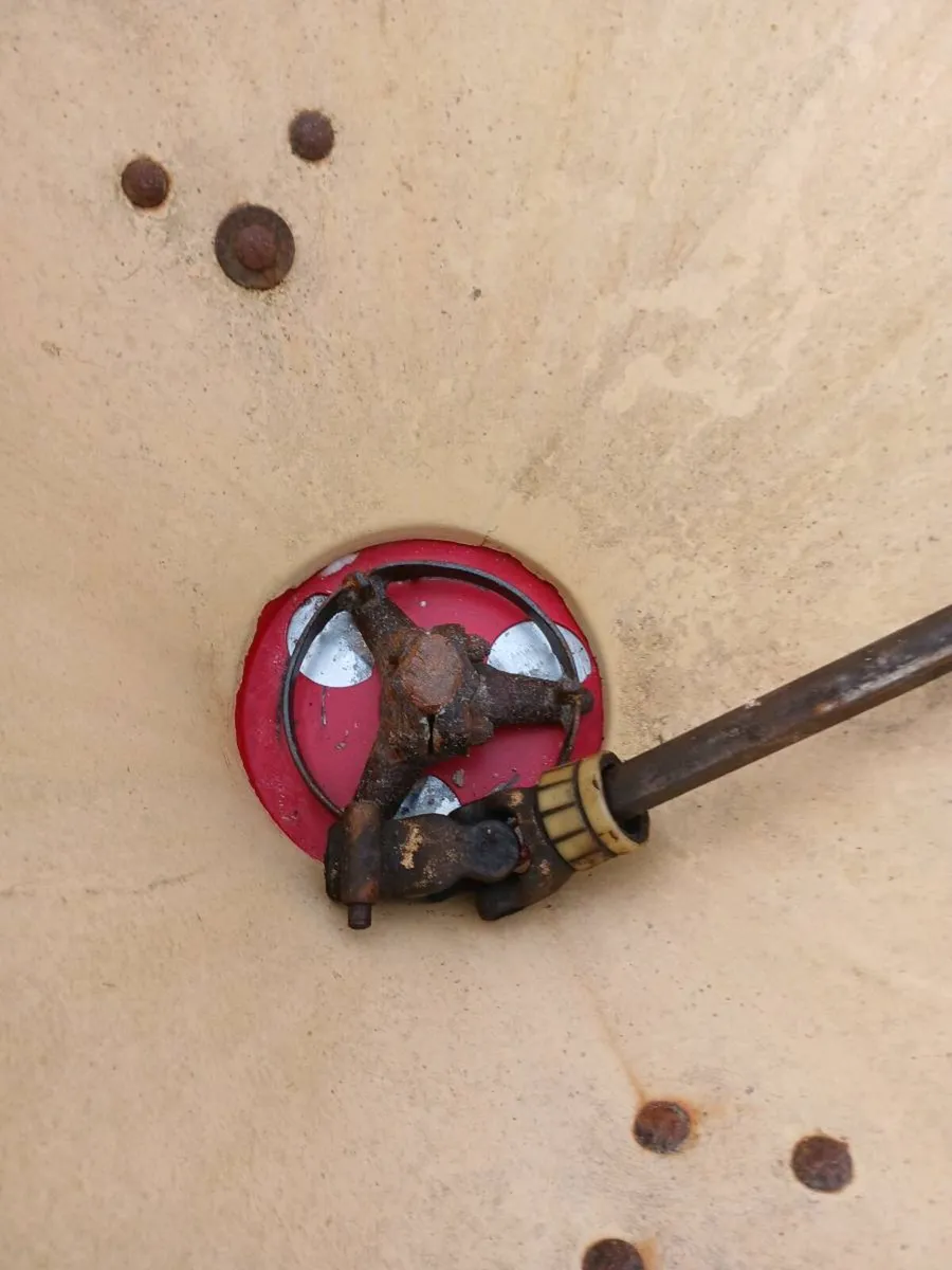 Vicon wag tail - Image 2