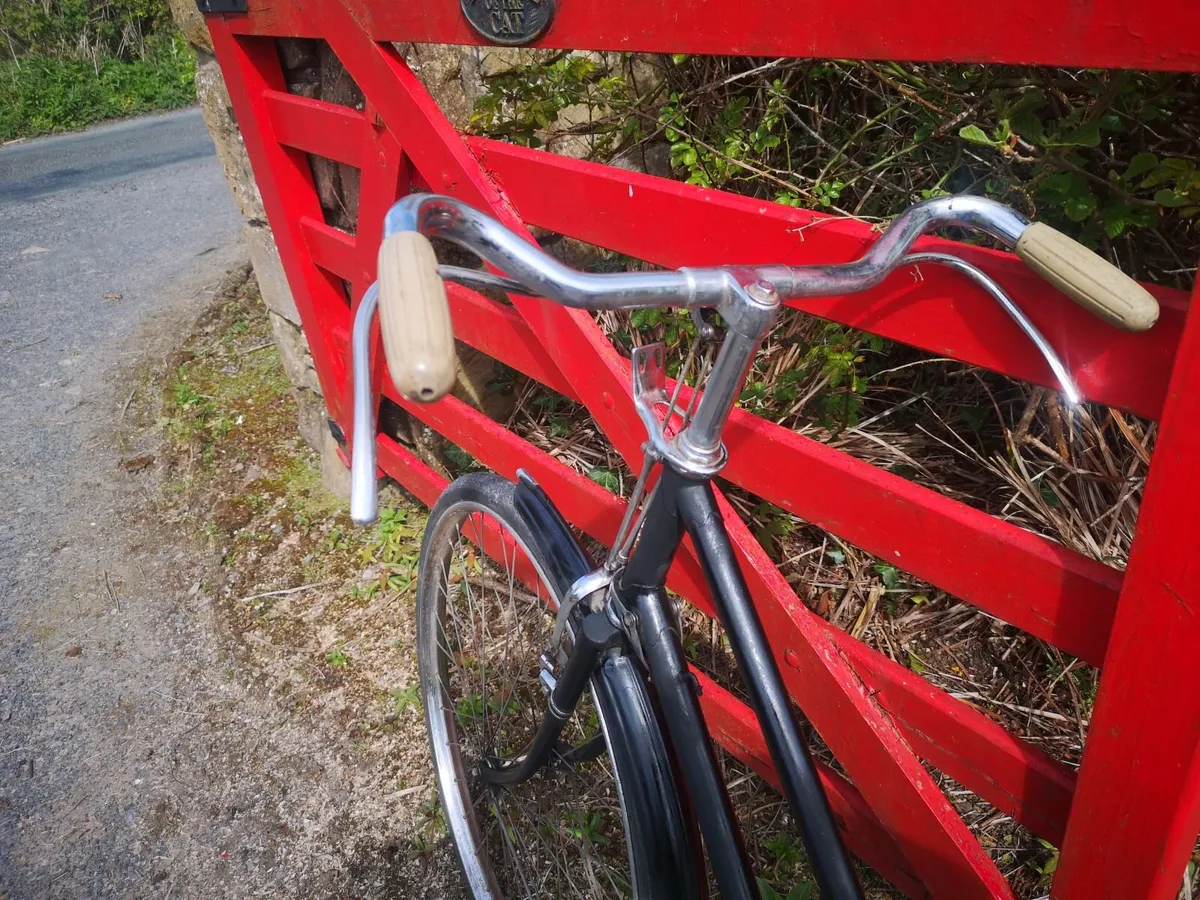 High Nelly Bycicle - Image 1