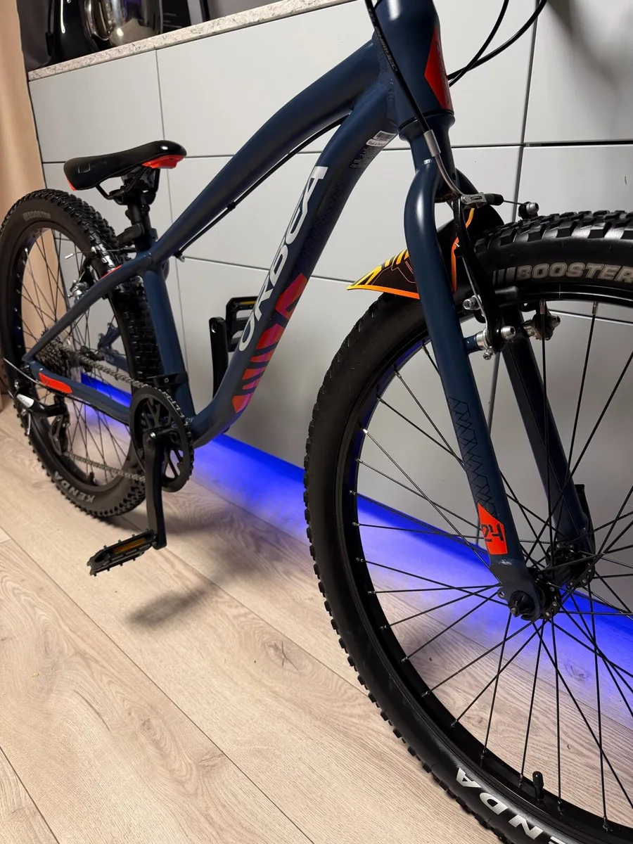 ORBEA MX Dirt Kids Bike 24 inch - Image 4