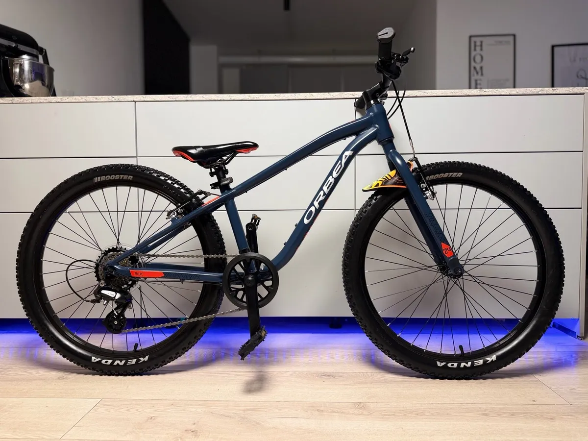 ORBEA MX Dirt Kids Bike 24 inch - Image 1