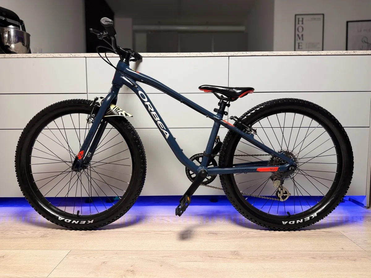 ORBEA MX Dirt Kids Bike 24 inch - Image 2