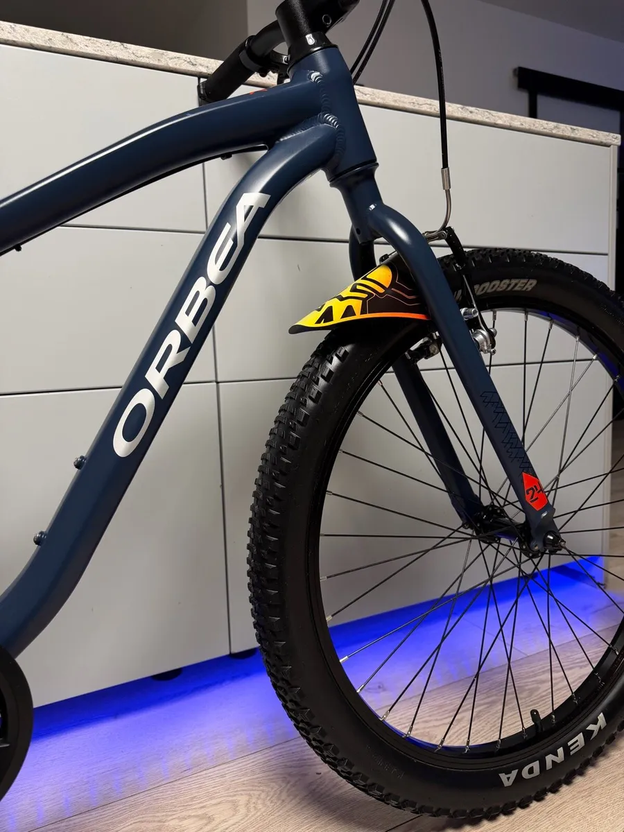 ORBEA MX Dirt Kids Bike 24 inch - Image 3