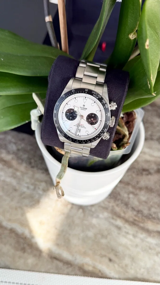 Tudor Chronograph - Image 4