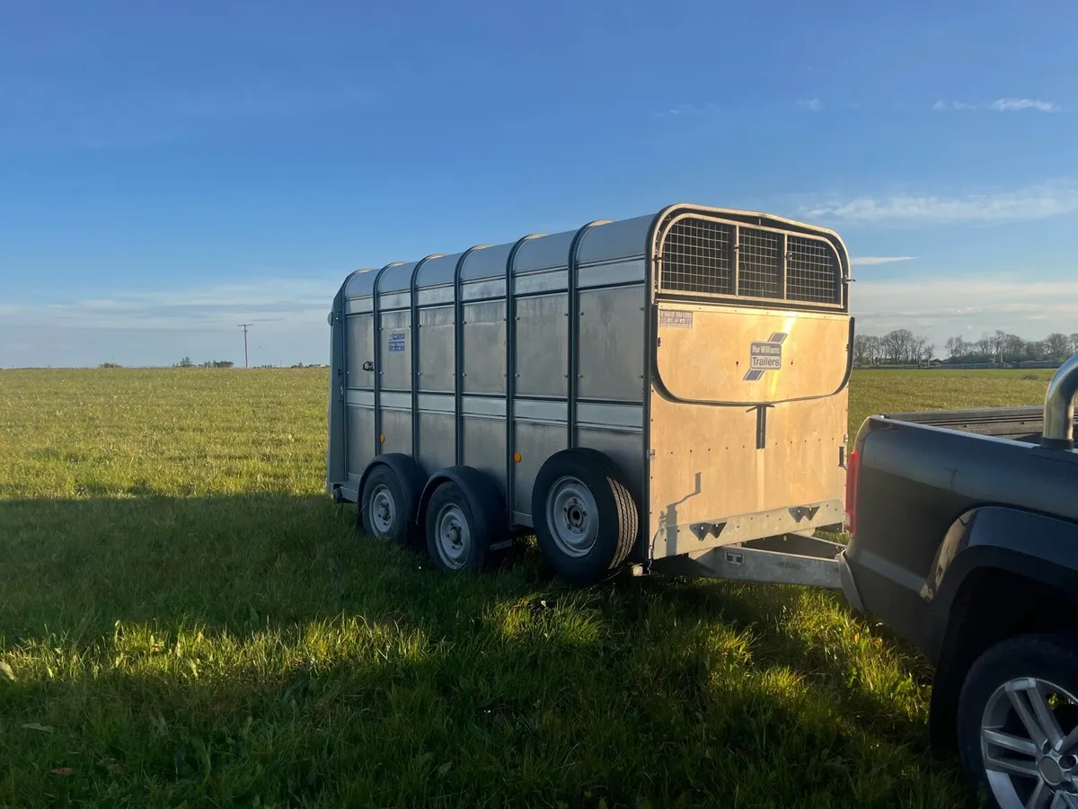 2021 IFOR WILLIAMS TA510 12x6 - Image 2