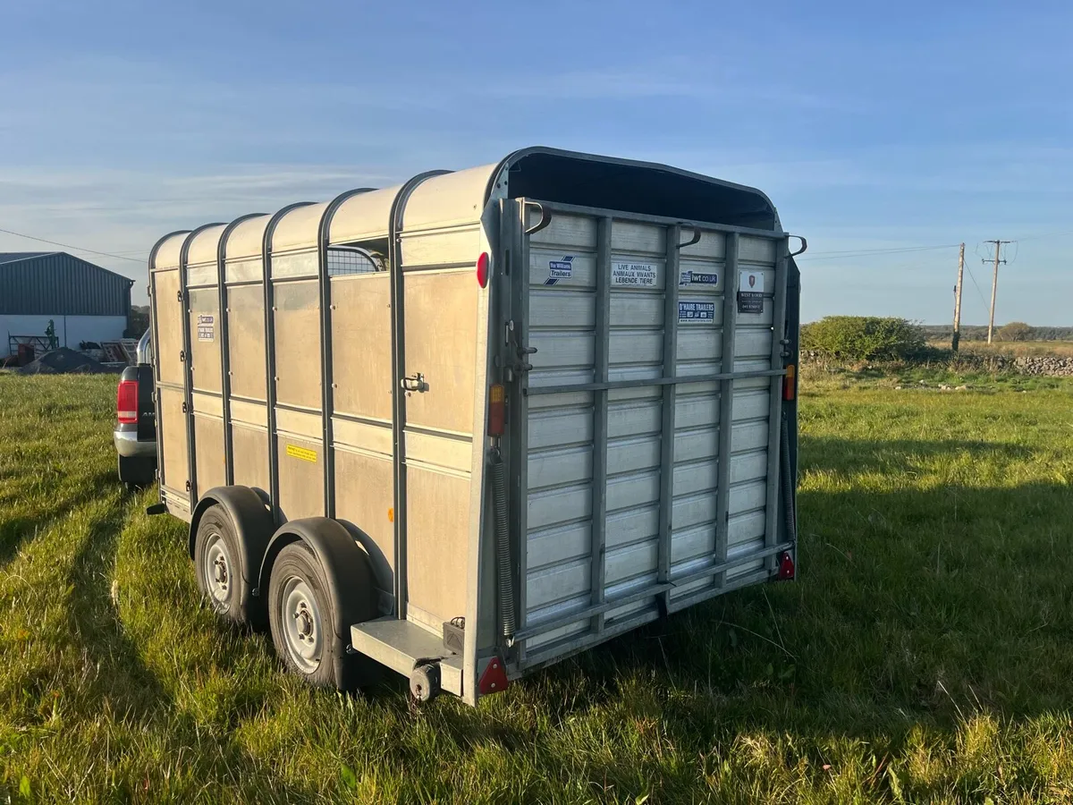 2021 IFOR WILLIAMS TA510 12x6 - Image 4