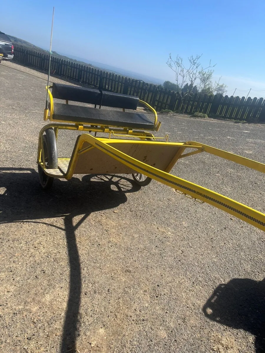 Cart harness and mare - Image 4