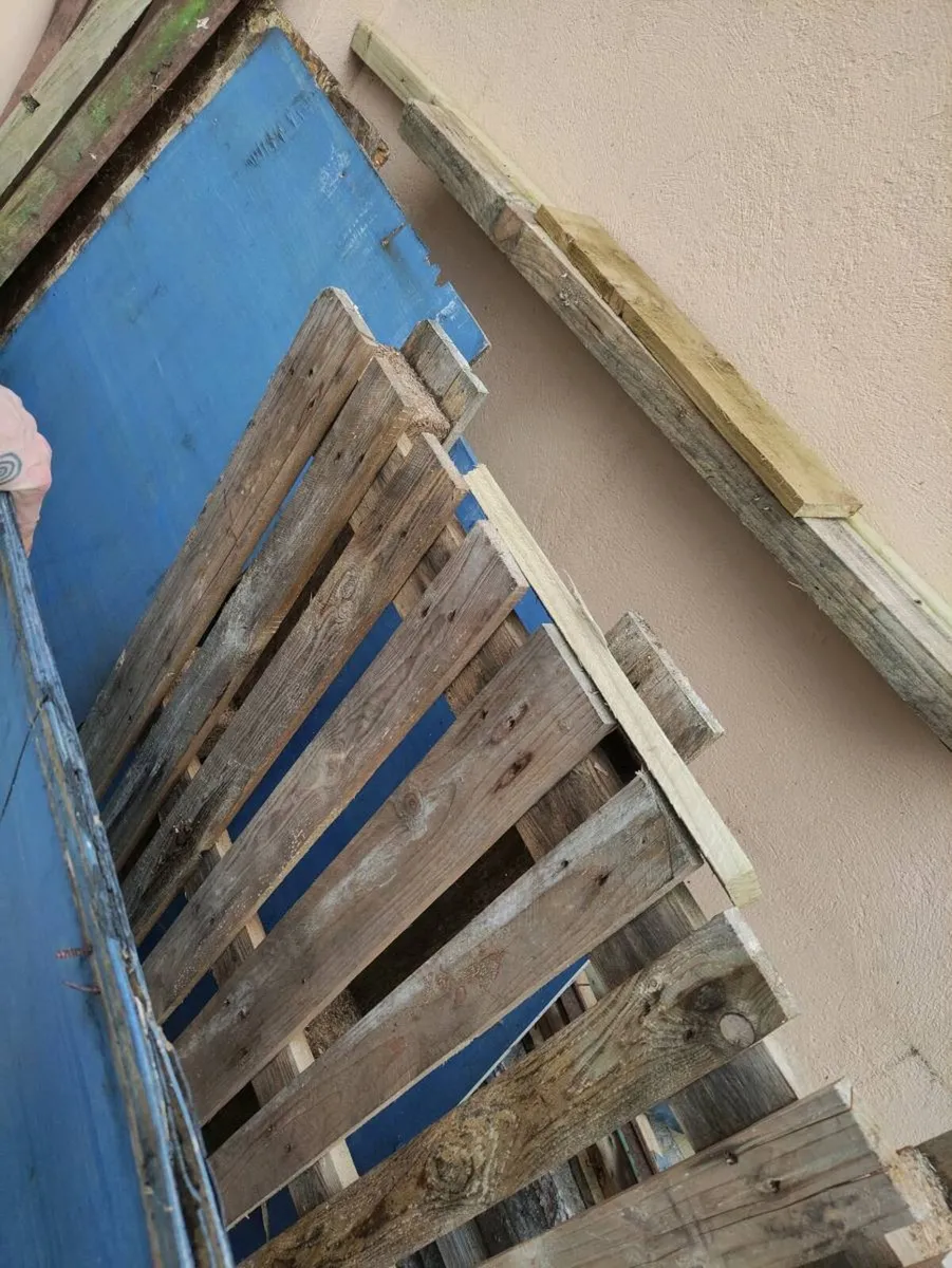 Wooden pallets for firewood free to collect - Image 1