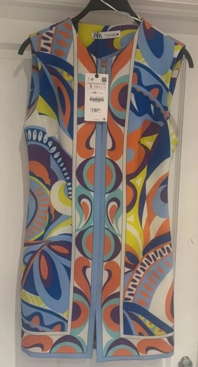 Zara Dress - Image 1