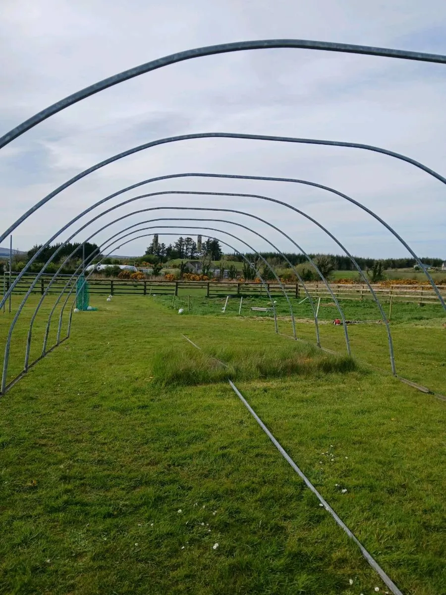 Pollytunnel - Image 3