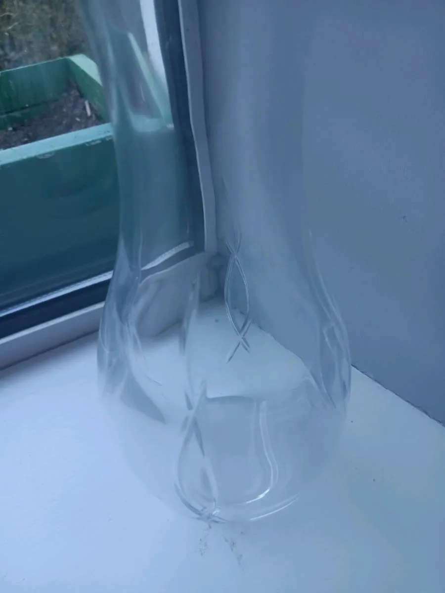 John rocha - Image 2