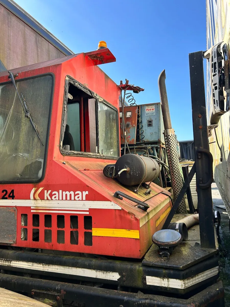 Yard clear out - Image 4