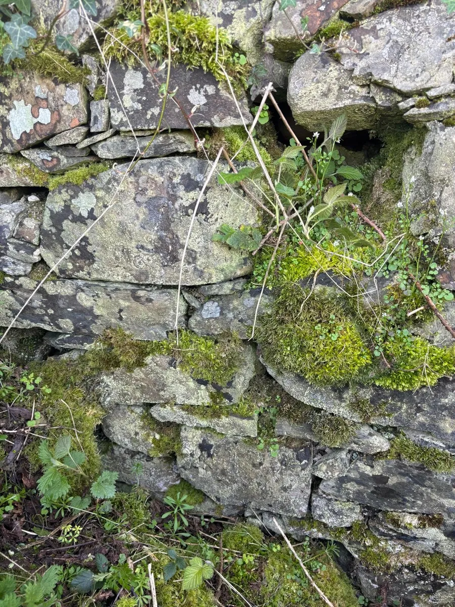 Building Stone - Image 2