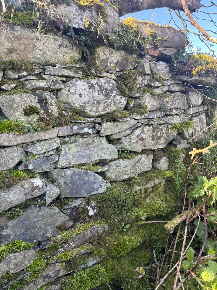 Building Stone - Image 1