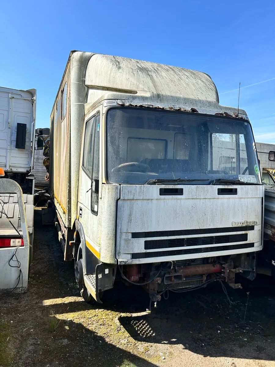 Yard clear out - Image 4