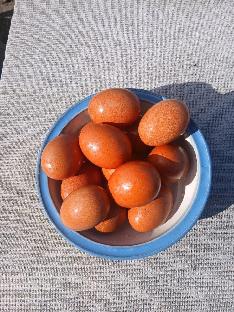 Hatching Eggs - Image 1