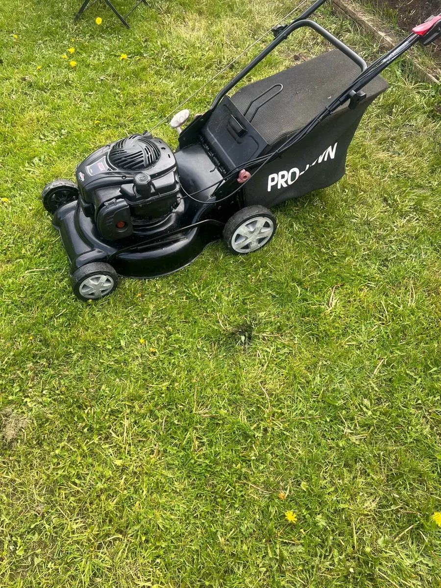 Lawnmower - Image 3