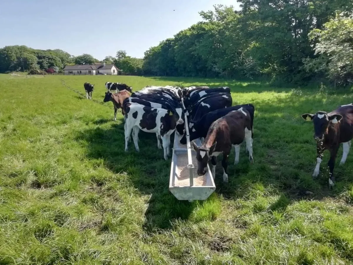 30 Ft Mobile Trough - Image 2