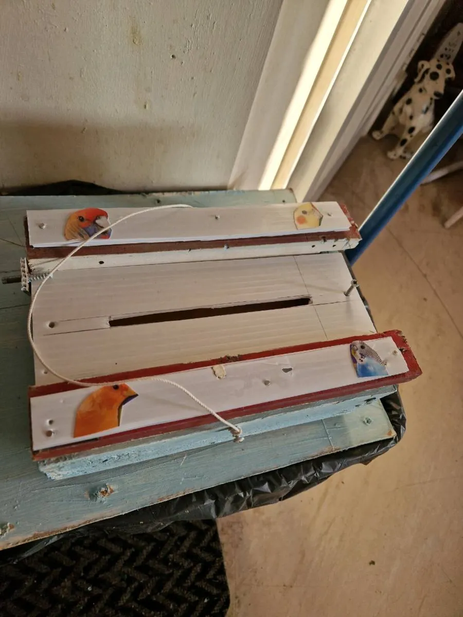 Bird transport box - Image 1