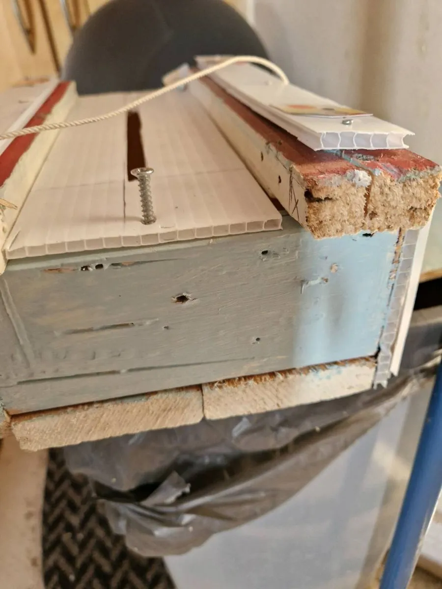 Bird transport box - Image 3