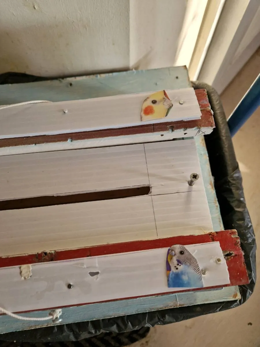 Bird transport box - Image 4