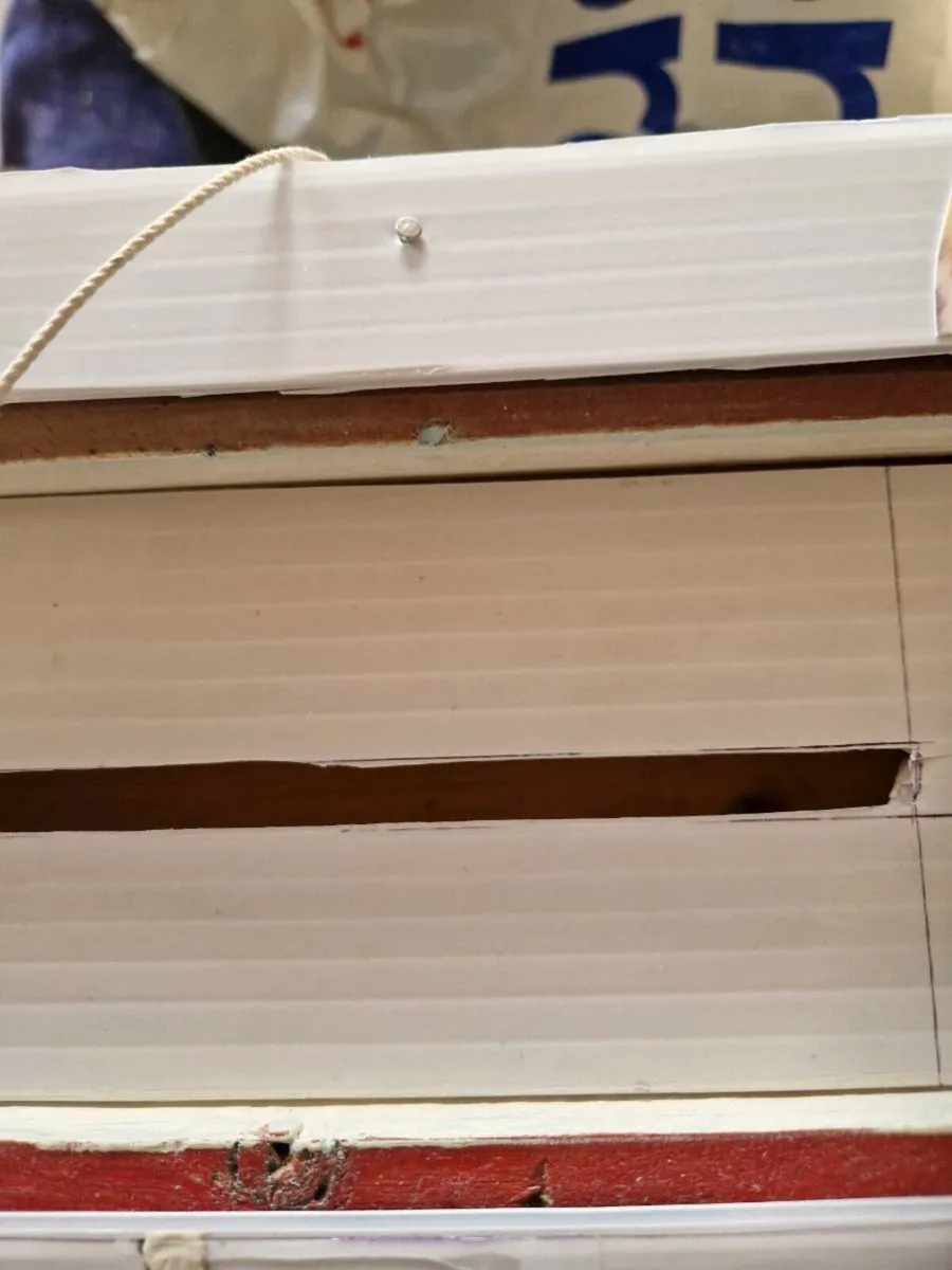 Bird transport box - Image 2