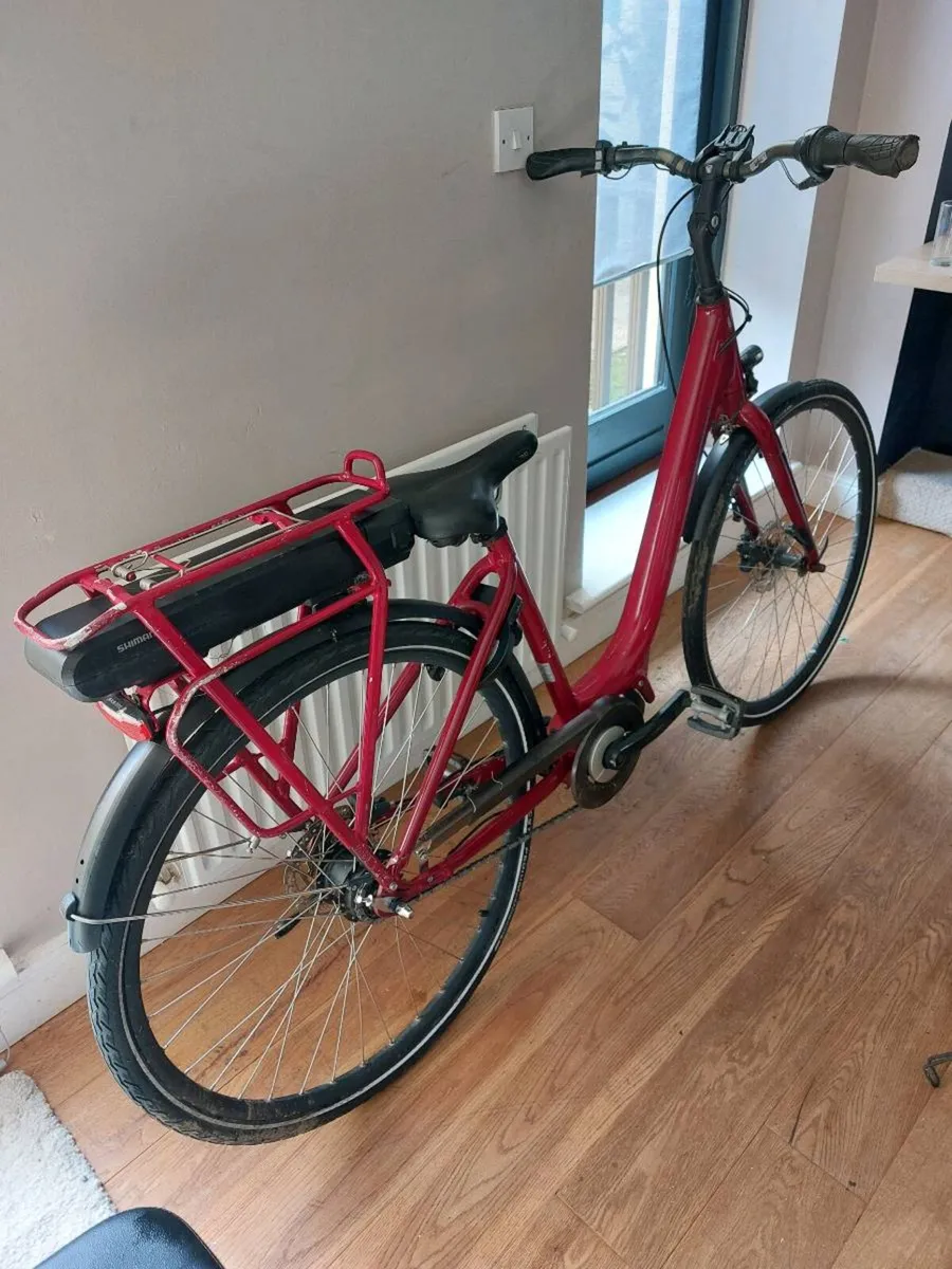 Ridgeback E bike - Image 2