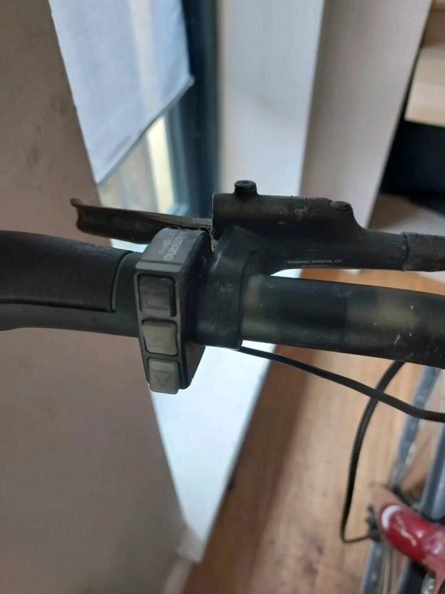 Ridgeback E bike - Image 4