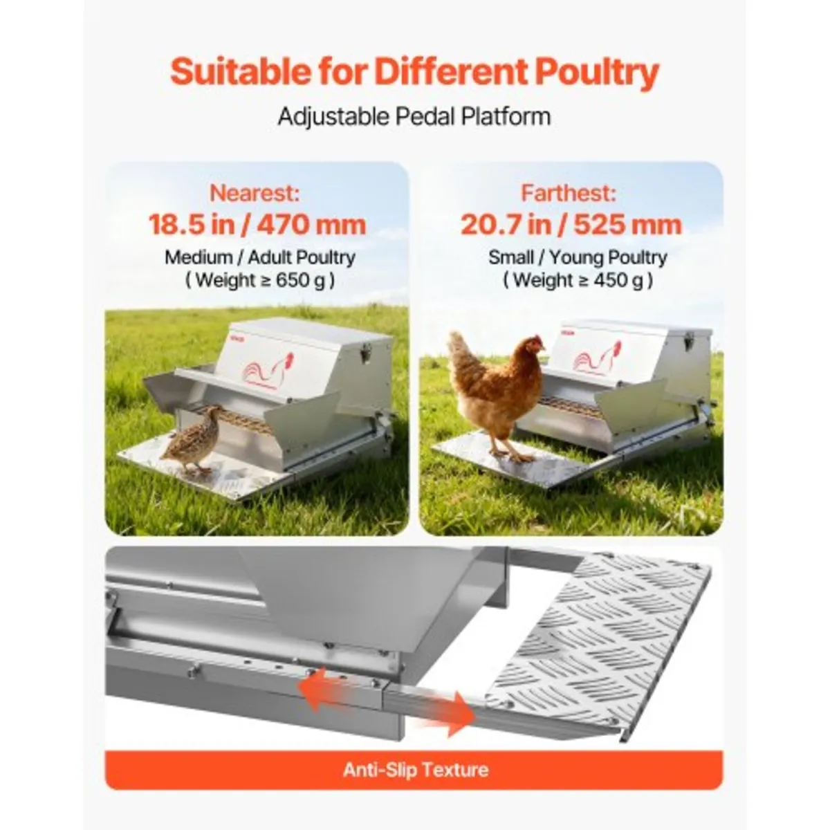 Automatic Chicken Feeder, 11.34 kg Capacity, Rainp - Image 3