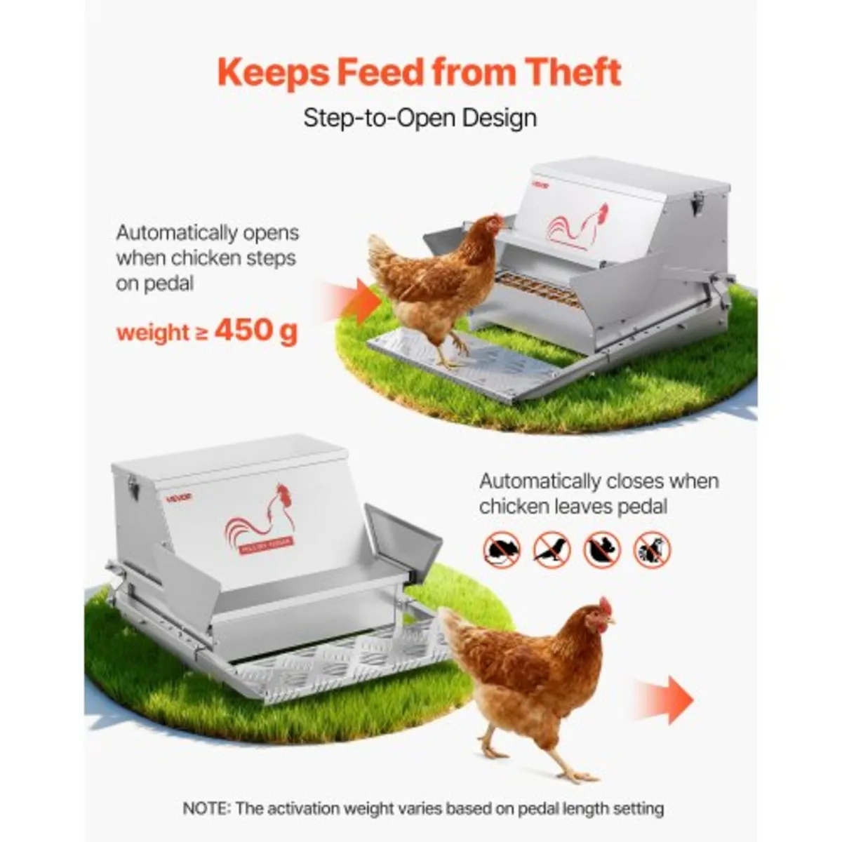 Automatic Chicken Feeder, 11.34 kg Capacity, Rainp - Image 4