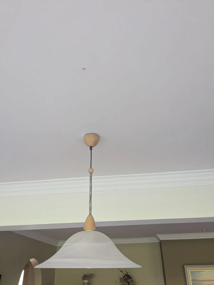 Ceiling light - Image 3