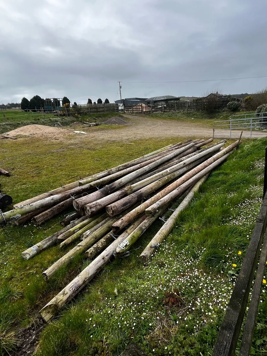 Telegraph Poles - Image 2