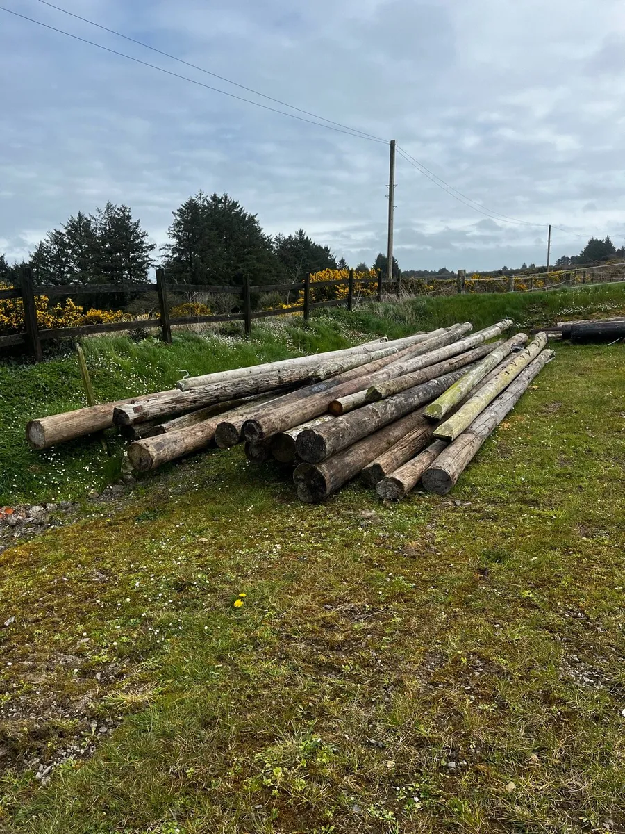 Telegraph Poles - Image 1