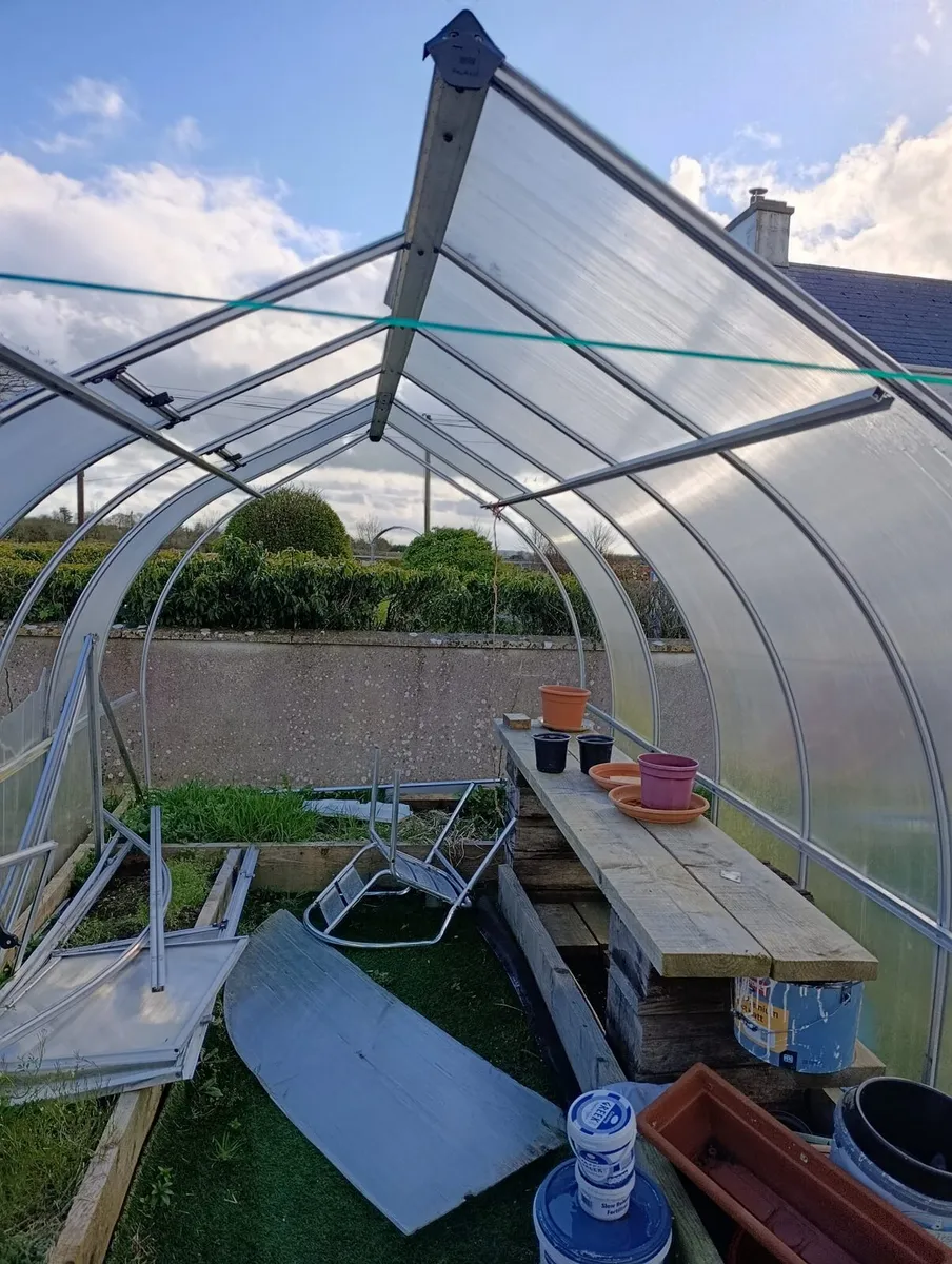 Glasshouse free to take away - Image 1